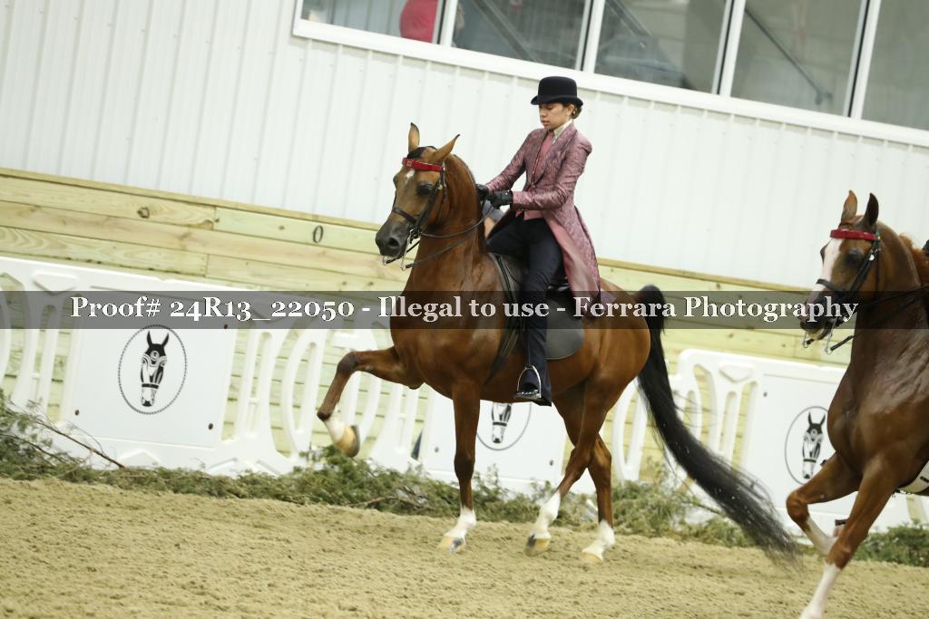 Proof Number 24R13_22050