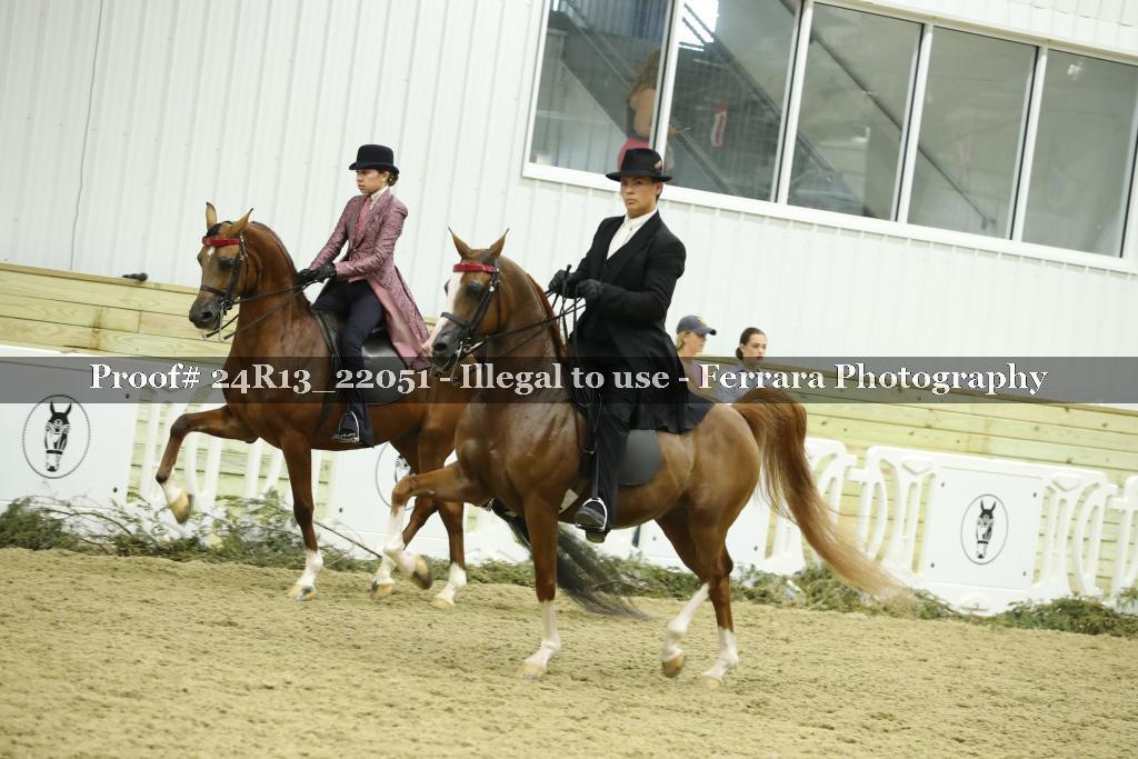 Proof Number 24R13_22051
