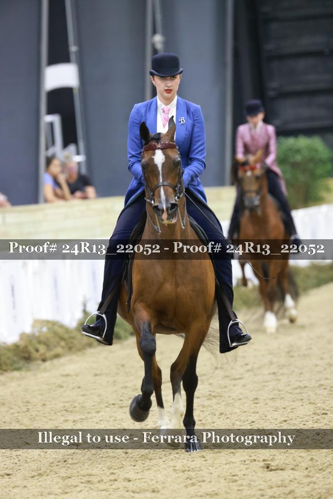 Proof Number 24R13_22052