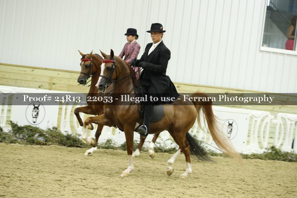Proof Number 24R13_22053