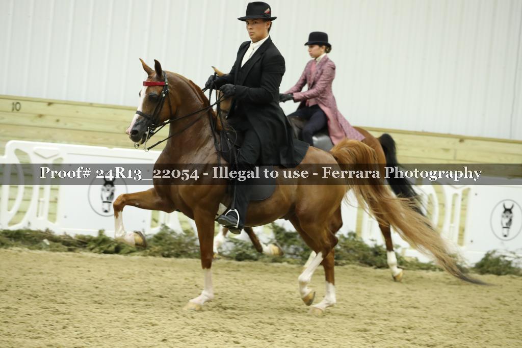 Proof Number 24R13_22054
