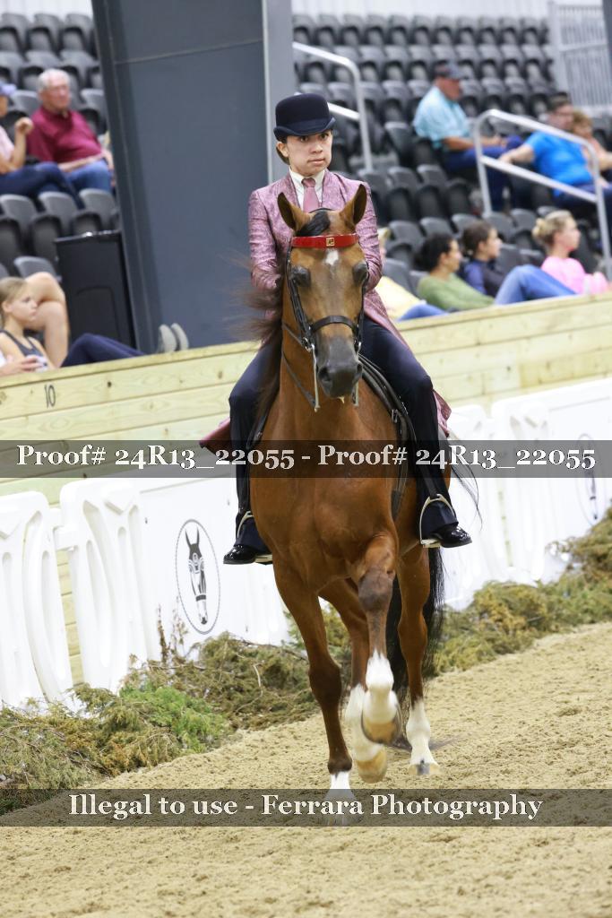 Proof Number 24R13_22055