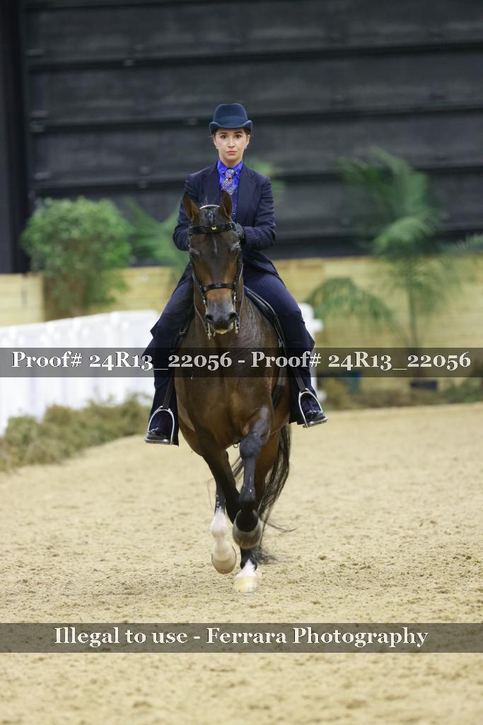 Proof Number 24R13_22056
