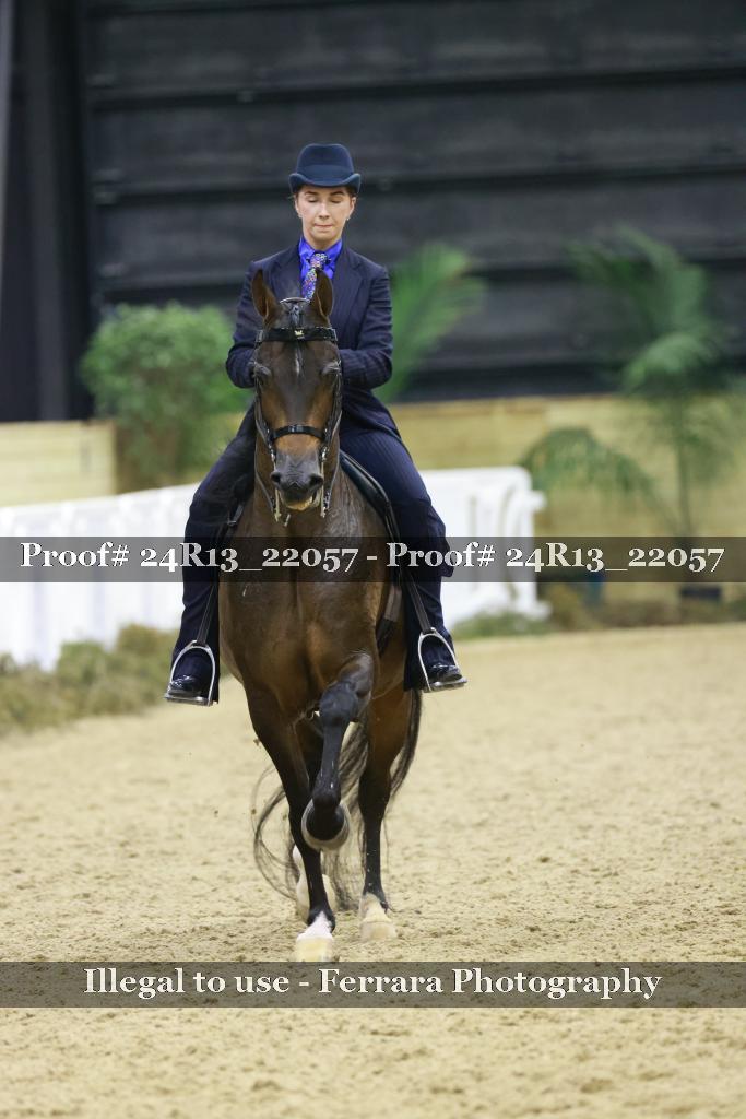 Proof Number 24R13_22057