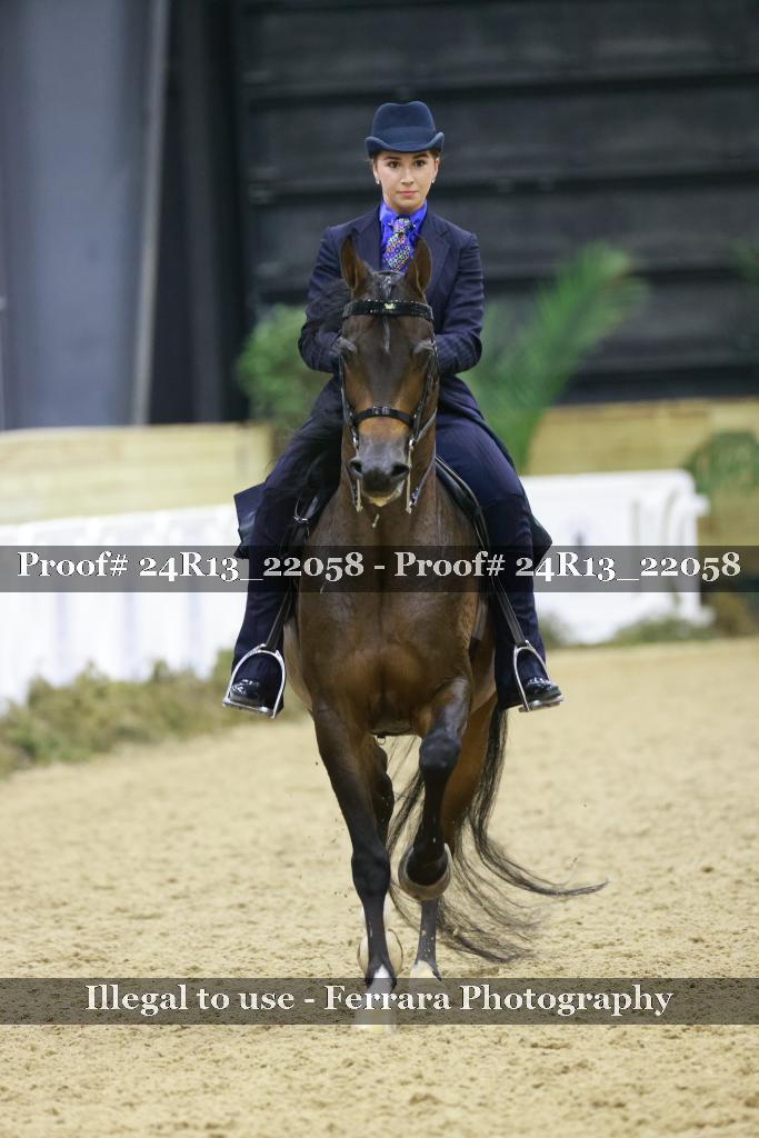 Proof Number 24R13_22058