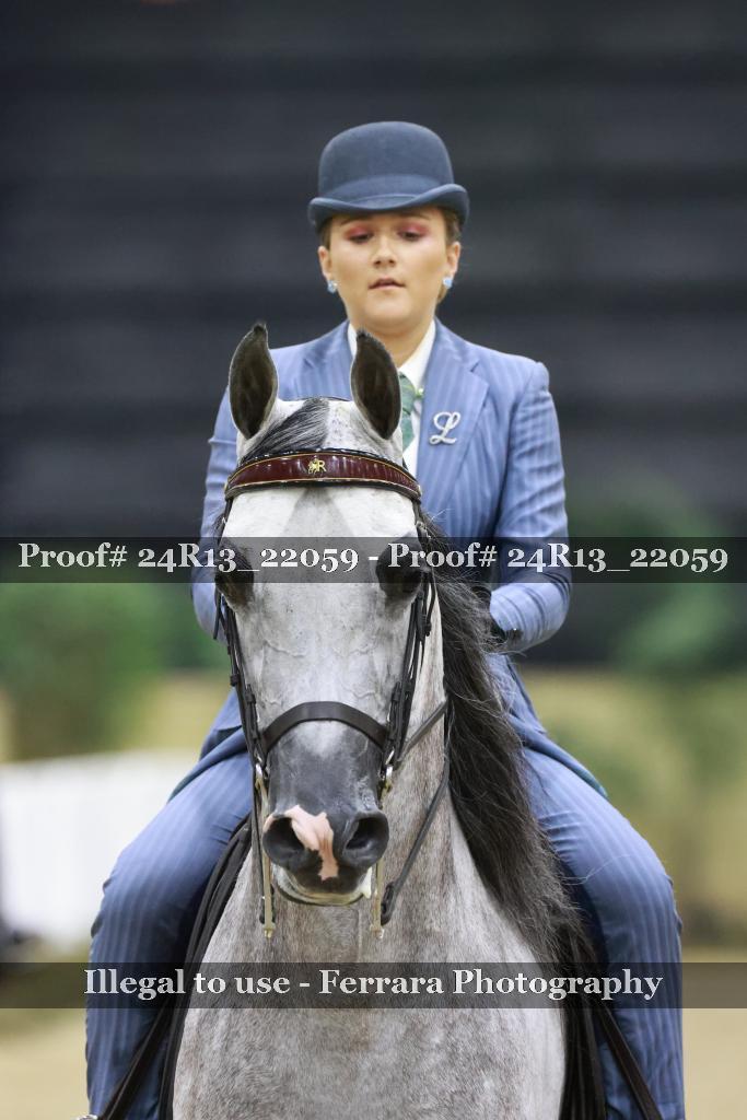 Proof Number 24R13_22059