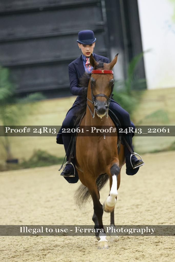 Proof Number 24R13_22061