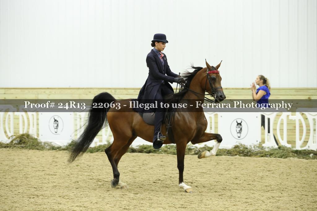 Proof Number 24R13_22063