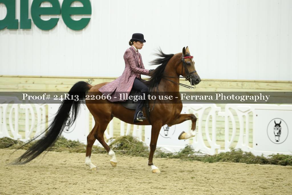 Proof Number 24R13_22066