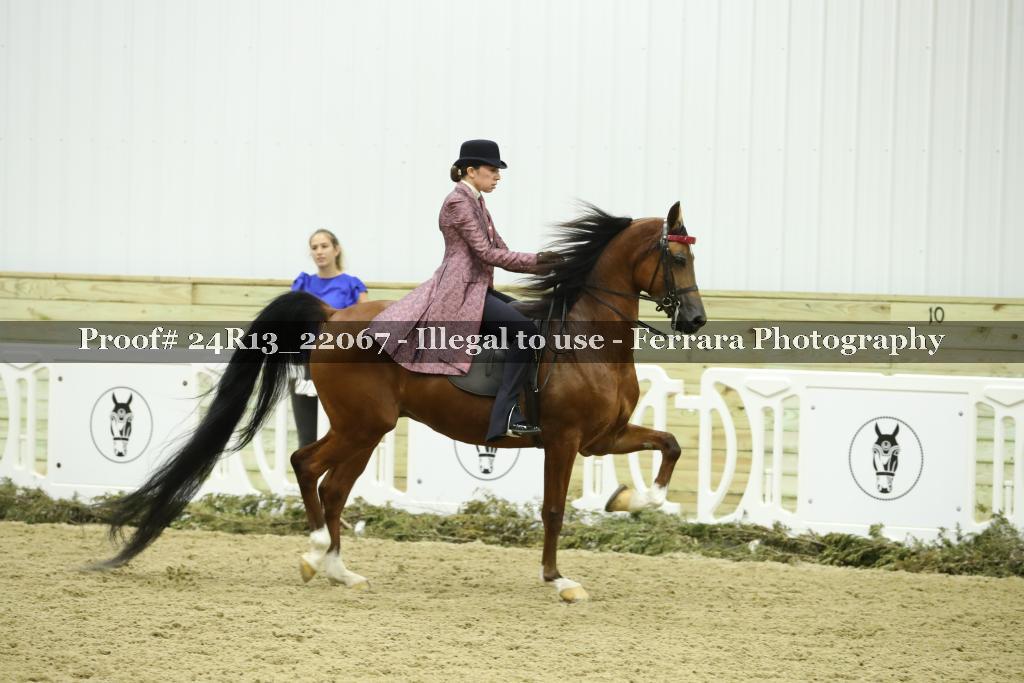 Proof Number 24R13_22067