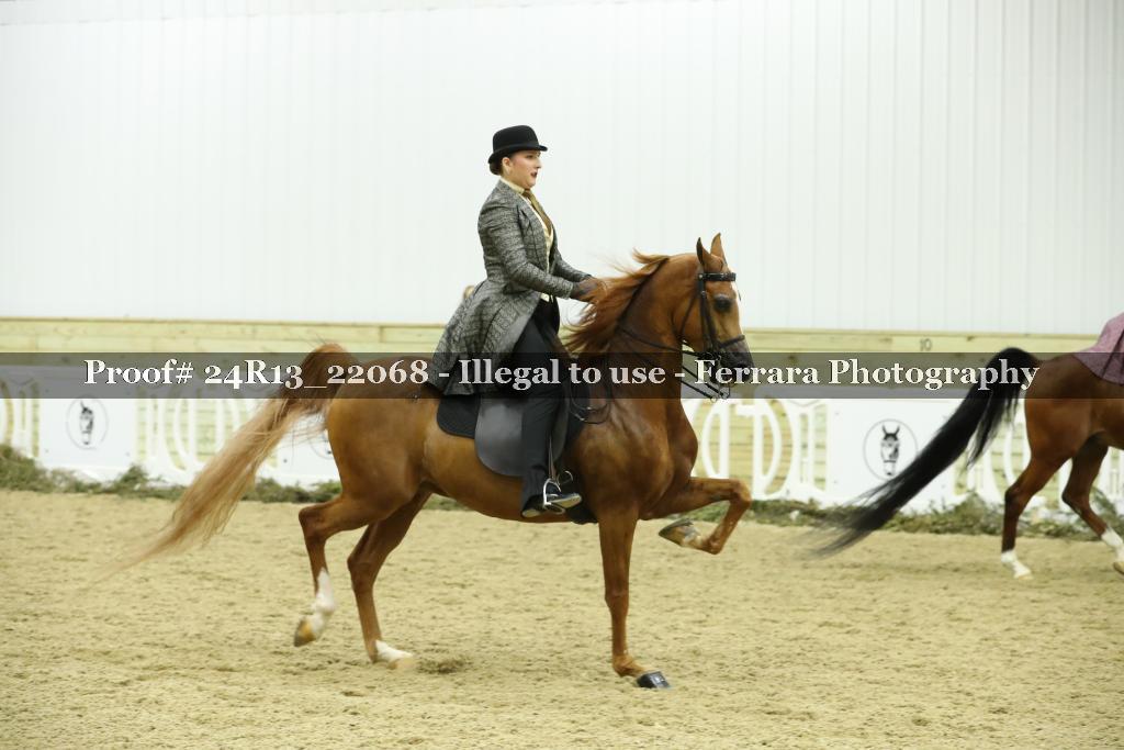 Proof Number 24R13_22068