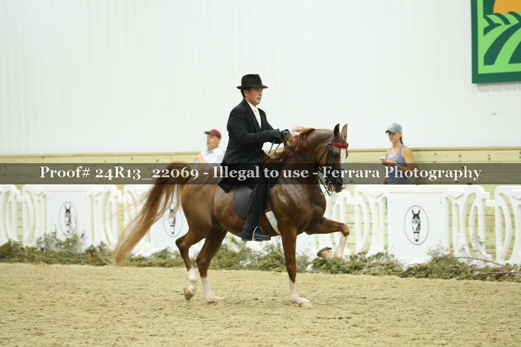 Proof Number 24R13_22069