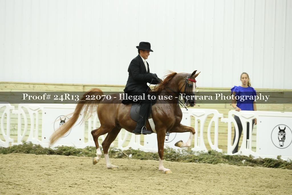 Proof Number 24R13_22070