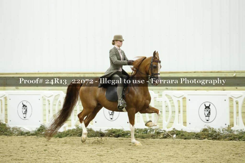Proof Number 24R13_22072