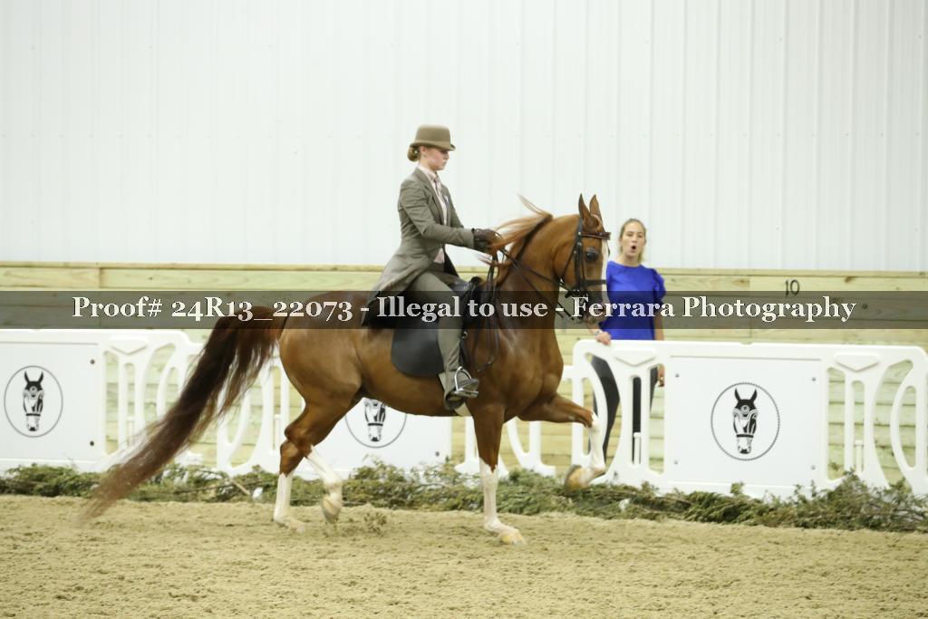 Proof Number 24R13_22073