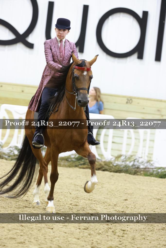 Proof Number 24R13_22077