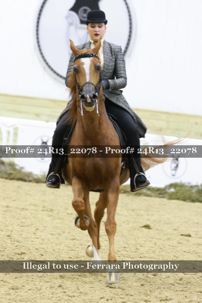 Proof Number 24R13_22078