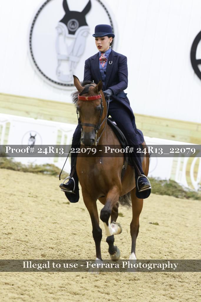 Proof Number 24R13_22079