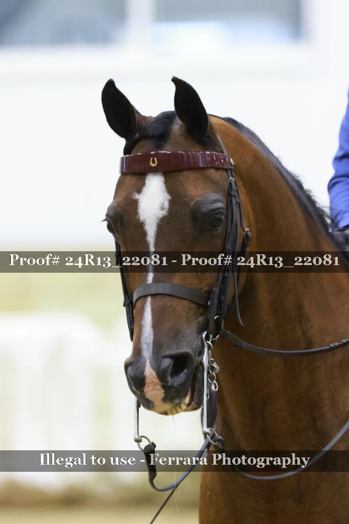 Proof Number 24R13_22081