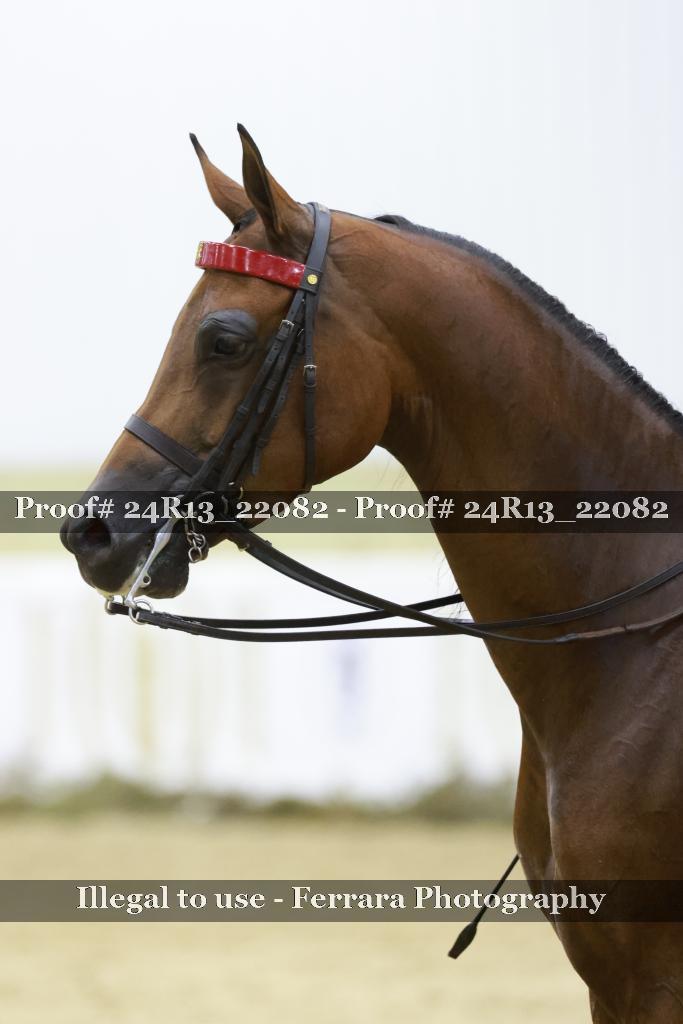 Proof Number 24R13_22082