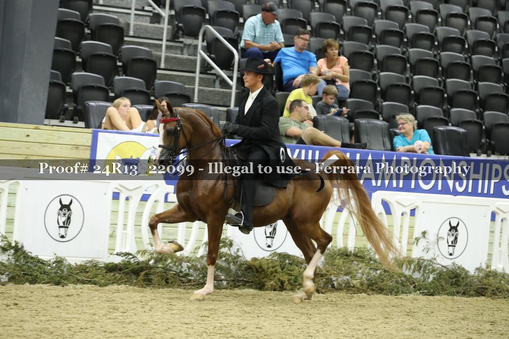 Proof Number 24R13_22099