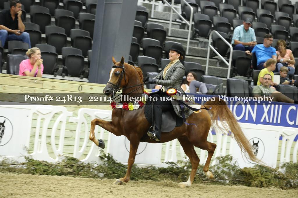 Proof Number 24R13_22114
