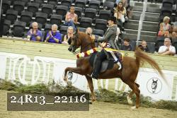 24R13_22116 thumbnail