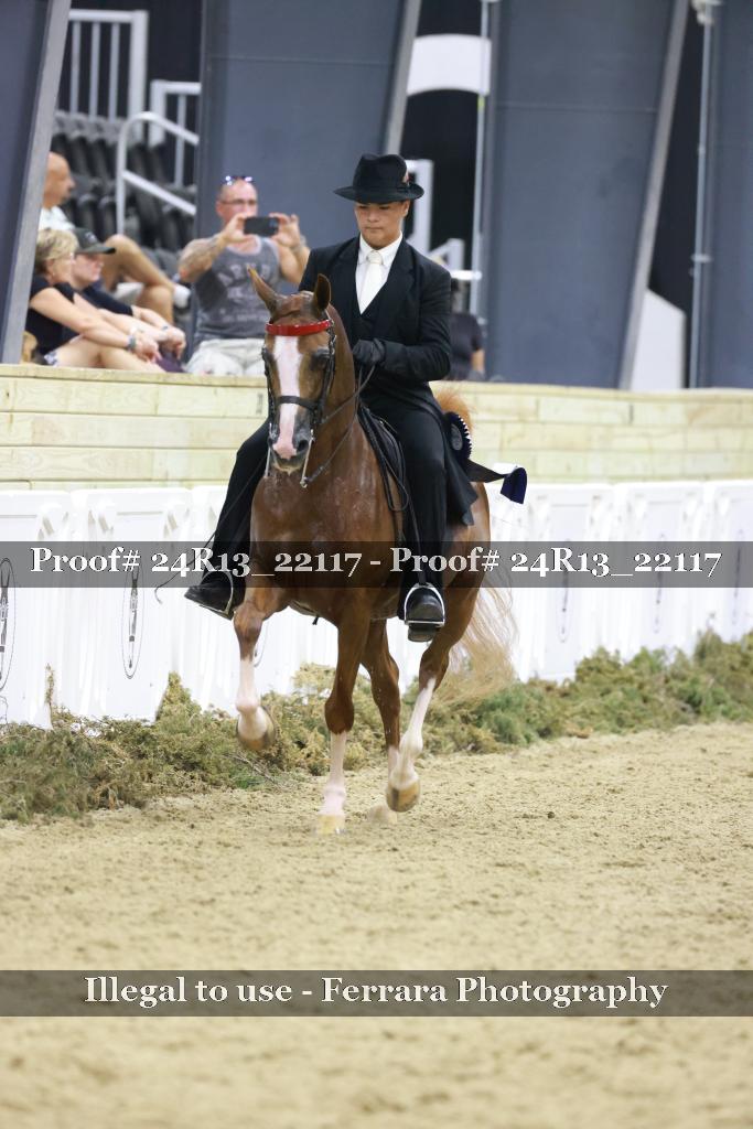 Proof Number 24R13_22117