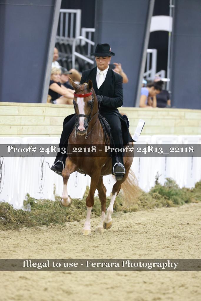 Proof Number 24R13_22118