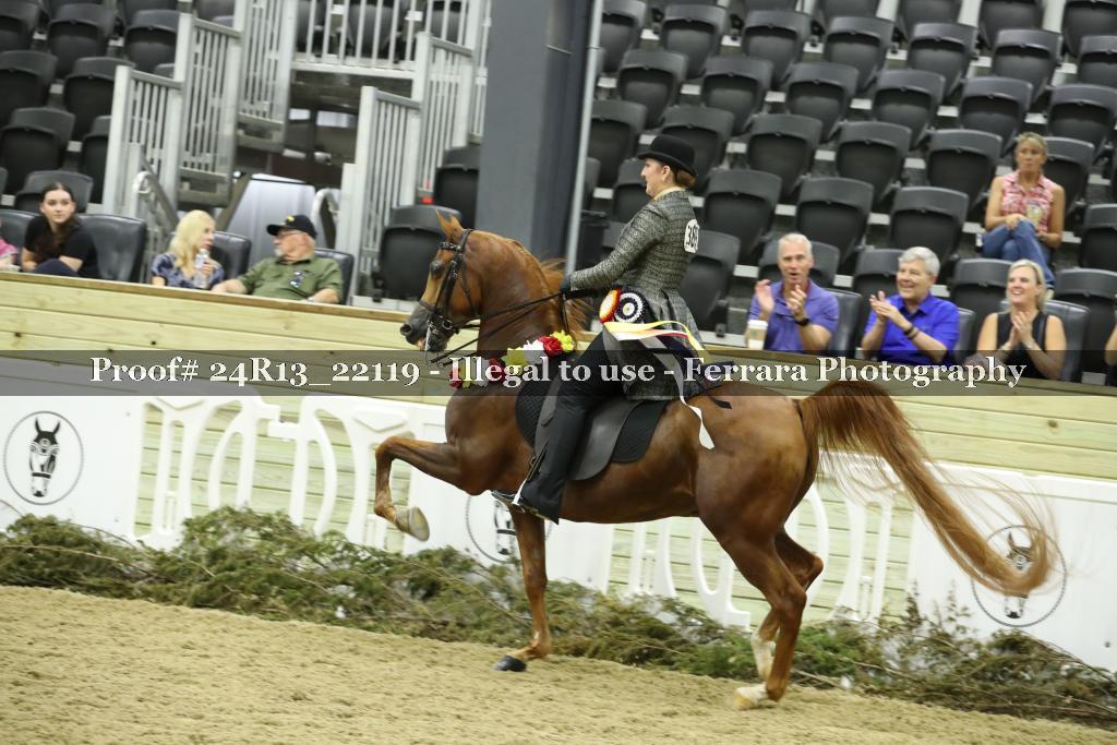 Proof Number 24R13_22119