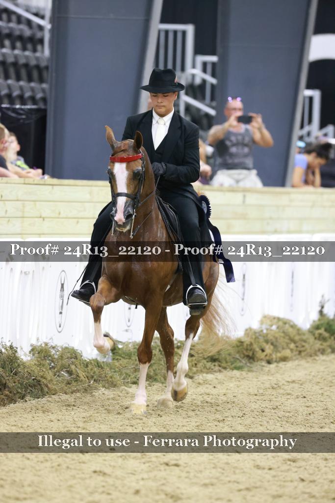 Proof Number 24R13_22120