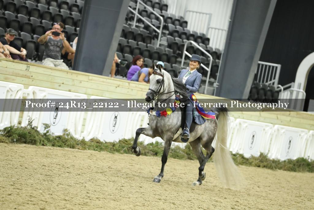 Proof Number 24R13_22122