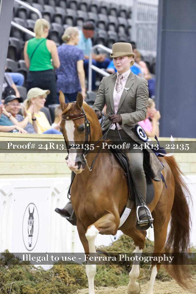 Proof Number 24R13_22135