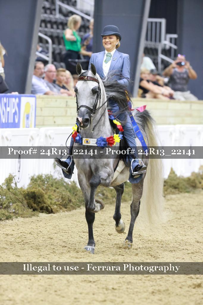 Proof Number 24R13_22141