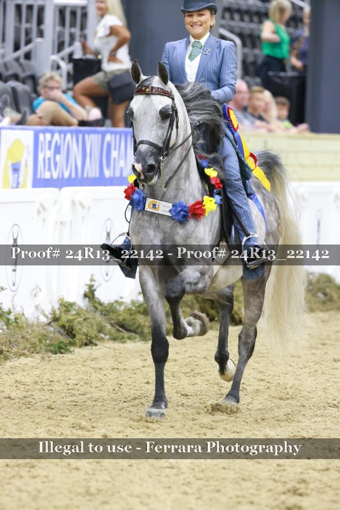 Proof Number 24R13_22142