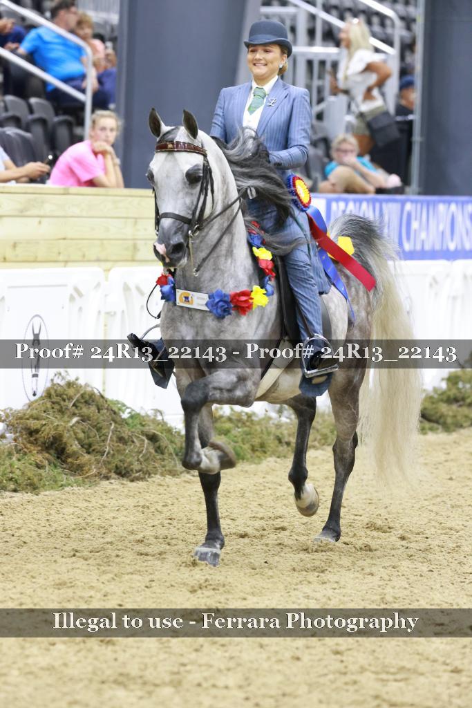 Proof Number 24R13_22143