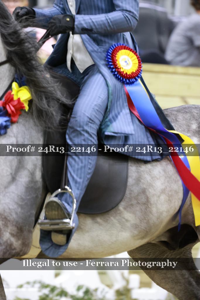Proof Number 24R13_22146