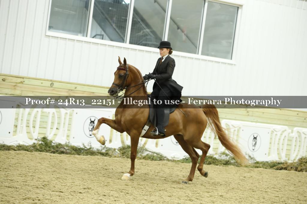 Proof Number 24R13_22151