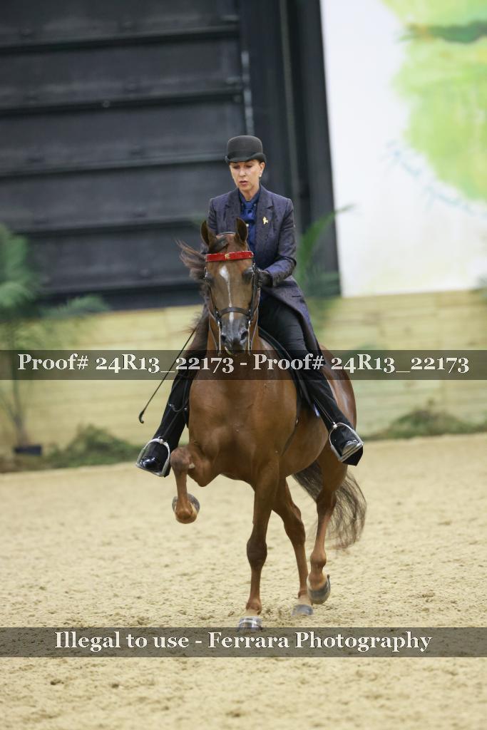 Proof Number 24R13_22173