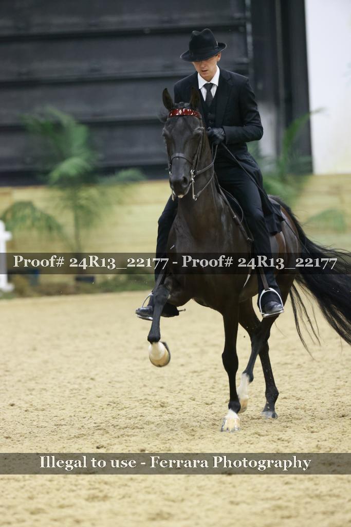 Proof Number 24R13_22177