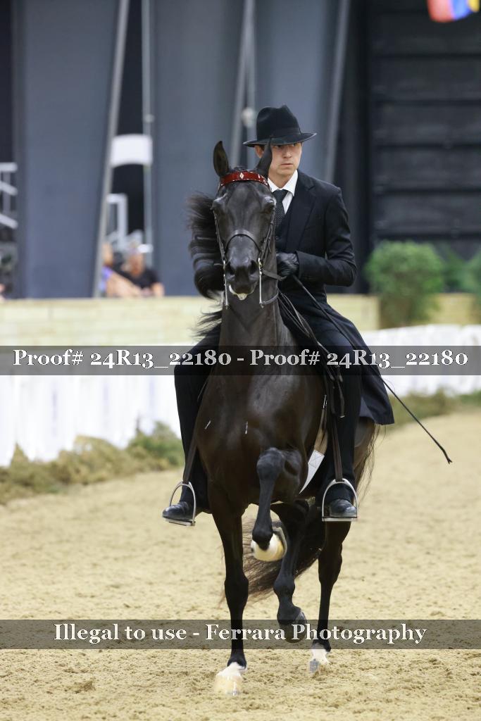 Proof Number 24R13_22180