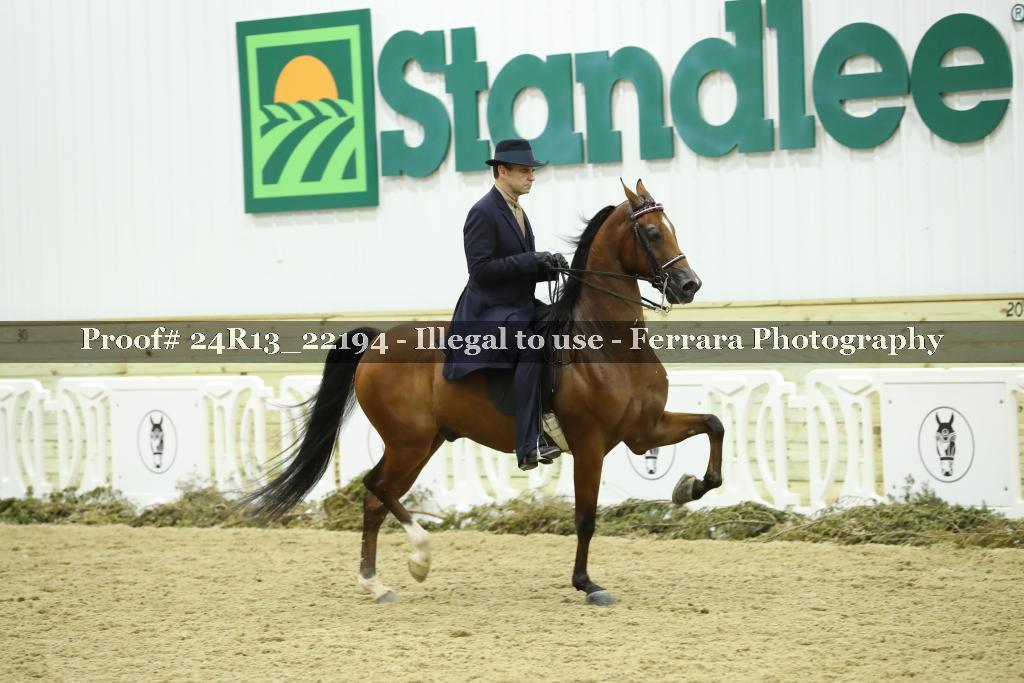 Proof Number 24R13_22194