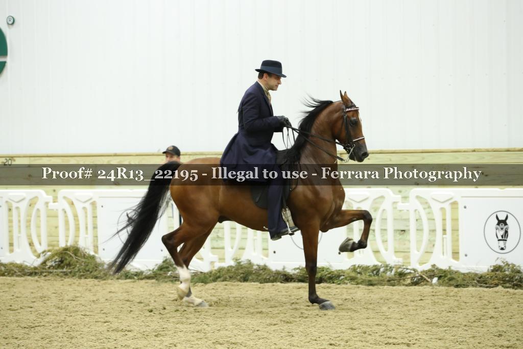 Proof Number 24R13_22195