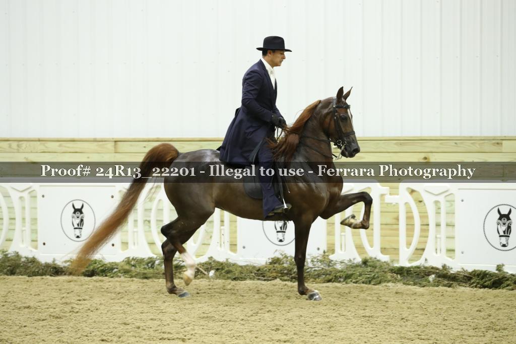 Proof Number 24R13_22201