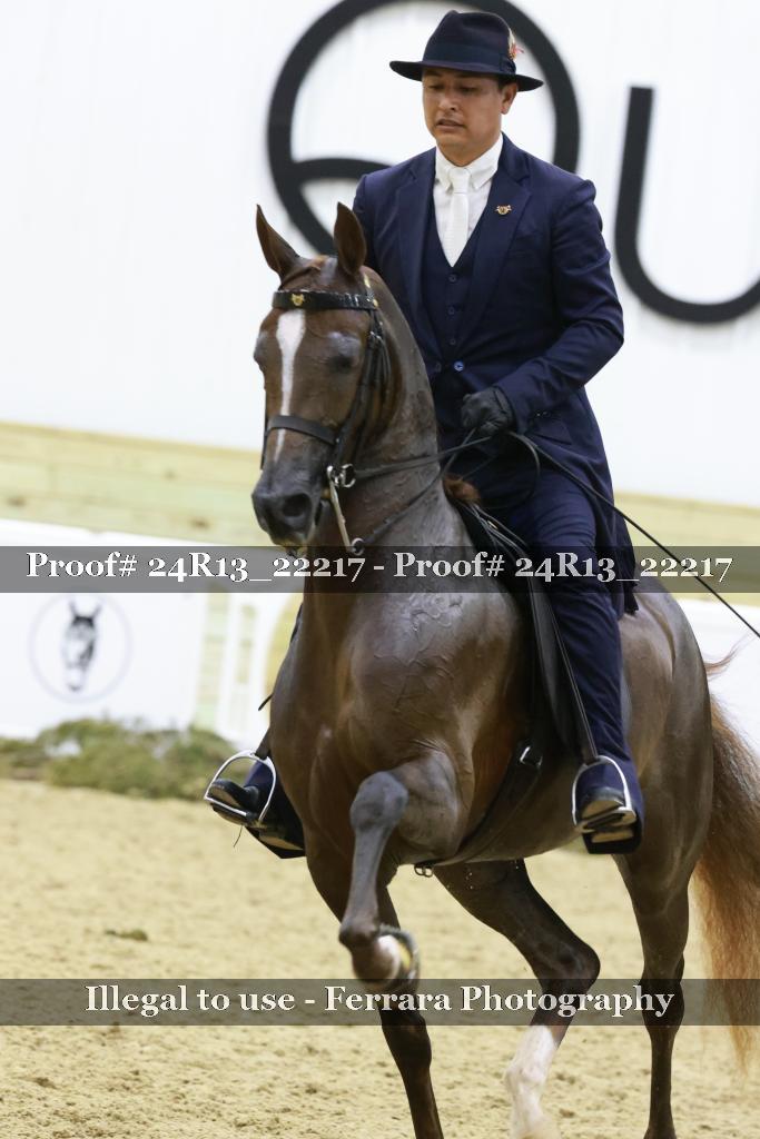 Proof Number 24R13_22217