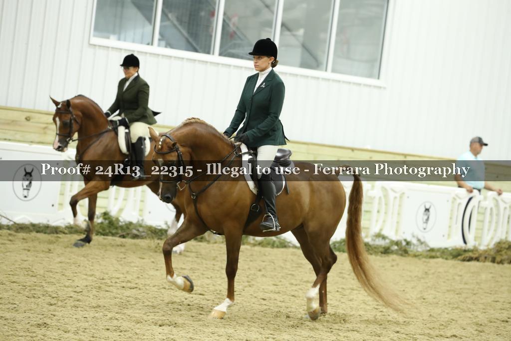 Proof Number 24R13_22315