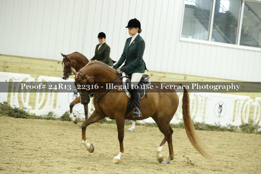 Proof Number 24R13_22316