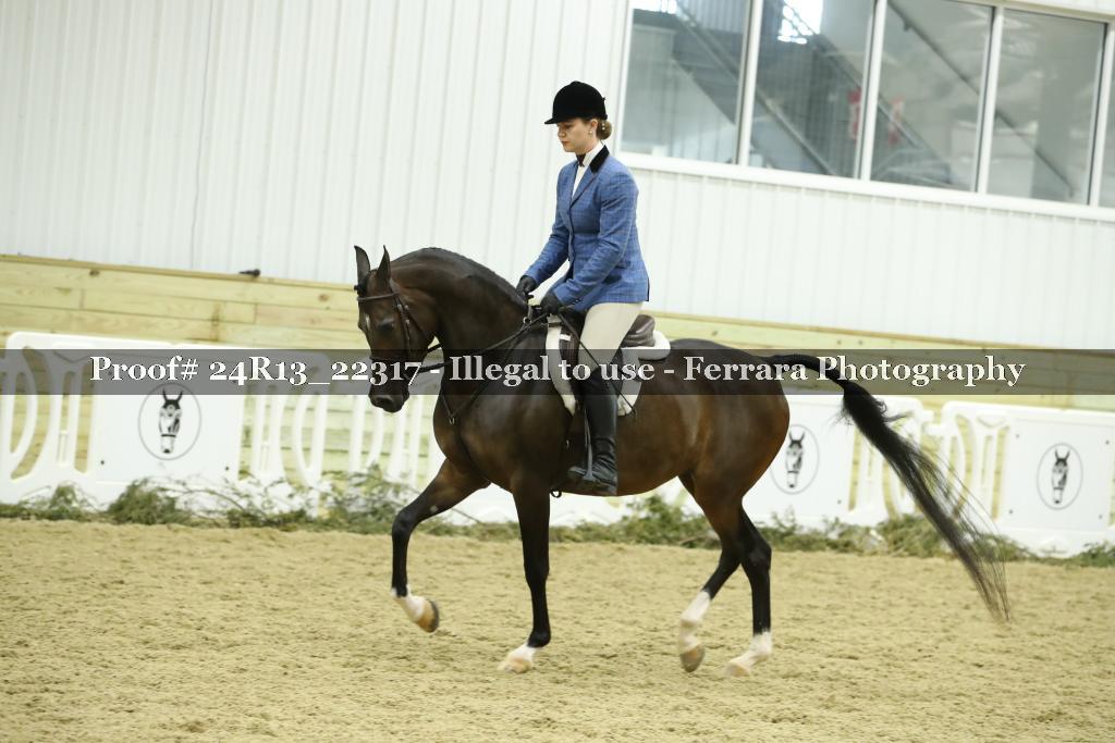Proof Number 24R13_22317