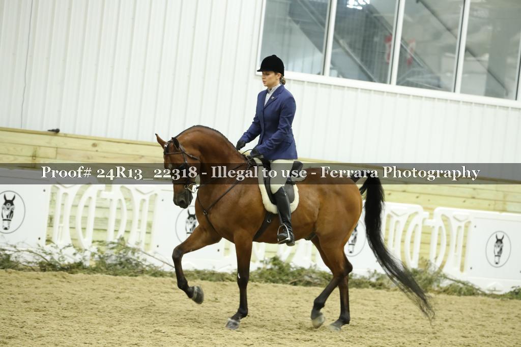 Proof Number 24R13_22318