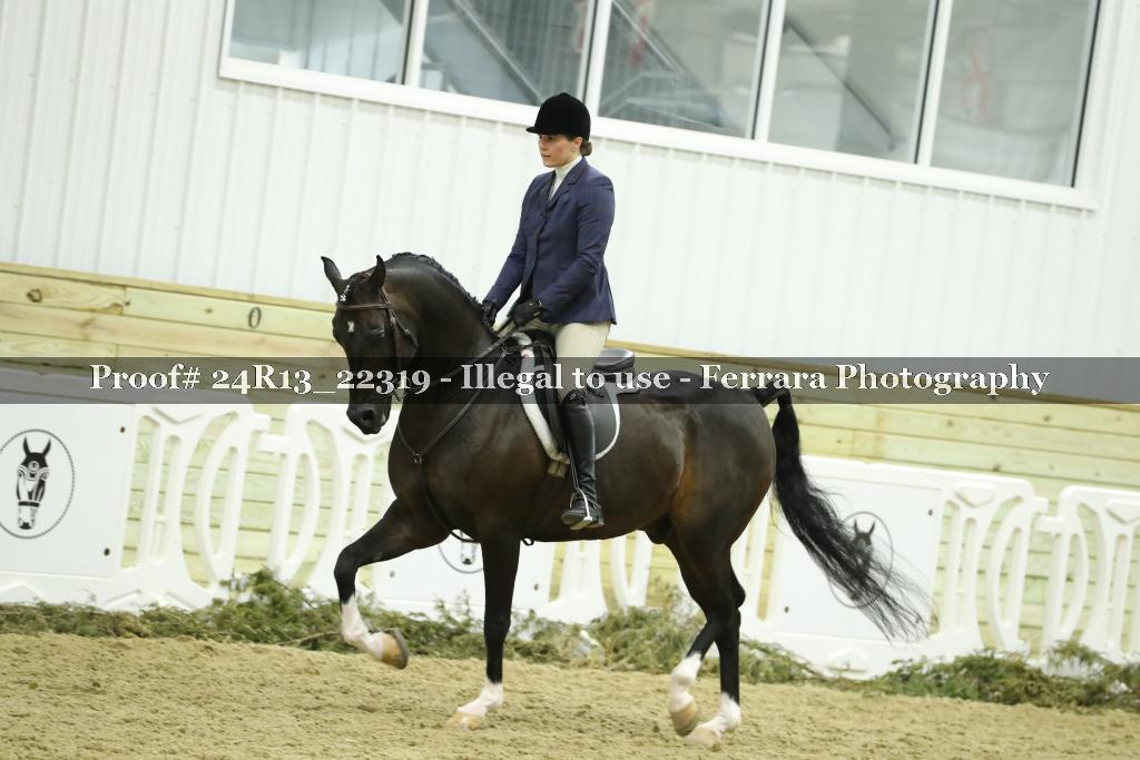 Proof Number 24R13_22319